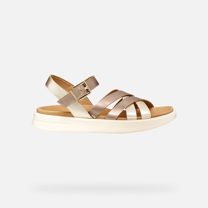 Flat sandals XAND 2S WOMAN Dark Beige/Light Gold | GEOX