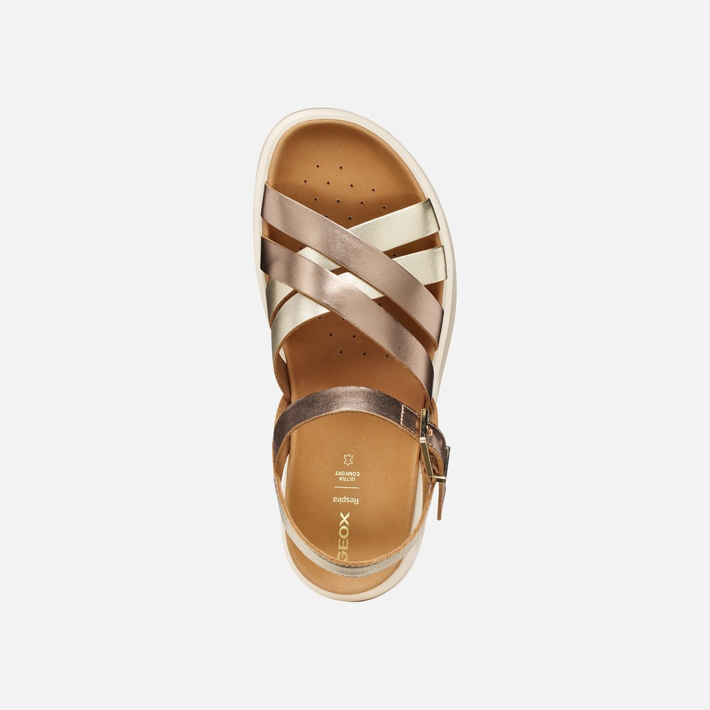 Flat sandals XAND 2S WOMAN Dark Beige/Light Gold - image number 5 | GEOX