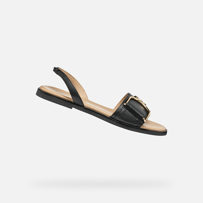 Flat sandals NAILEEN WOMAN Black | GEOX