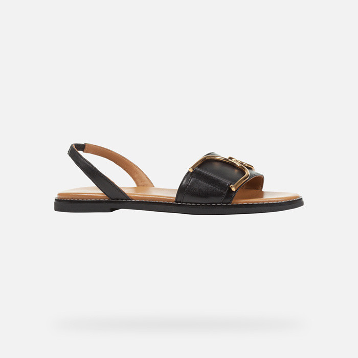 Flat sandals NAILEEN WOMAN Black | GEOX