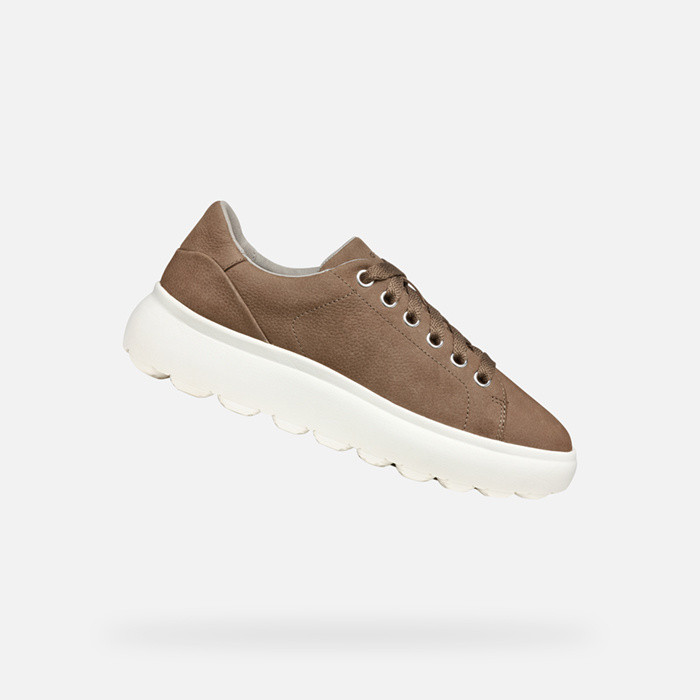 Low top sneakers SPHERICA EC4.1 WOMAN Dark Taupe | GEOX