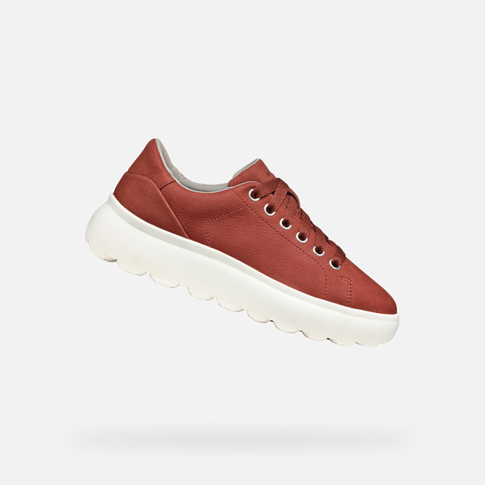 Niedrige sneakers SPHERICA EC4.1 DAME Altrosa | GEOX