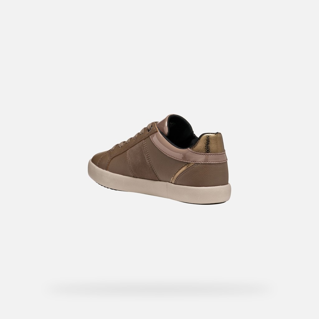 Baskets basse BLOMIEE FEMME Taupe - image number 3 | GEOX