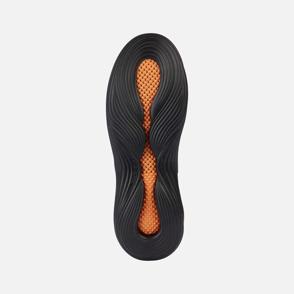 Chelsea boots FLUCTIS WOMAN Black - image number 6 | GEOX