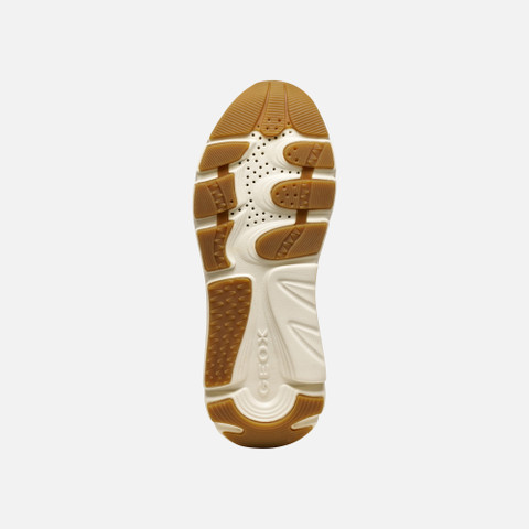 Platform trainers DIAMANTA WOMAN Mud/Beige - image number 6 | GEOX