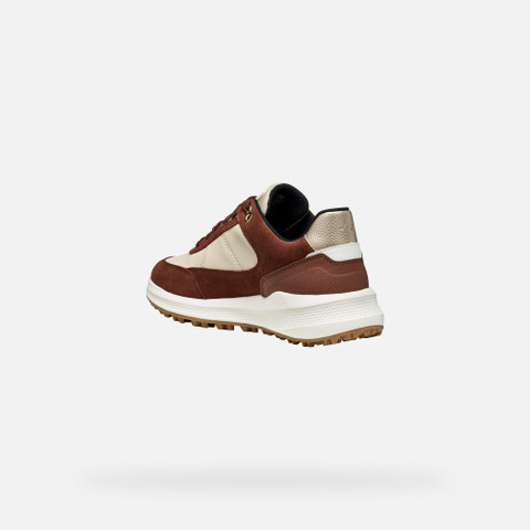 Waterproof trainers PG1X ABX WOMAN Papyrus/Brick - image number 3 | GEOX
