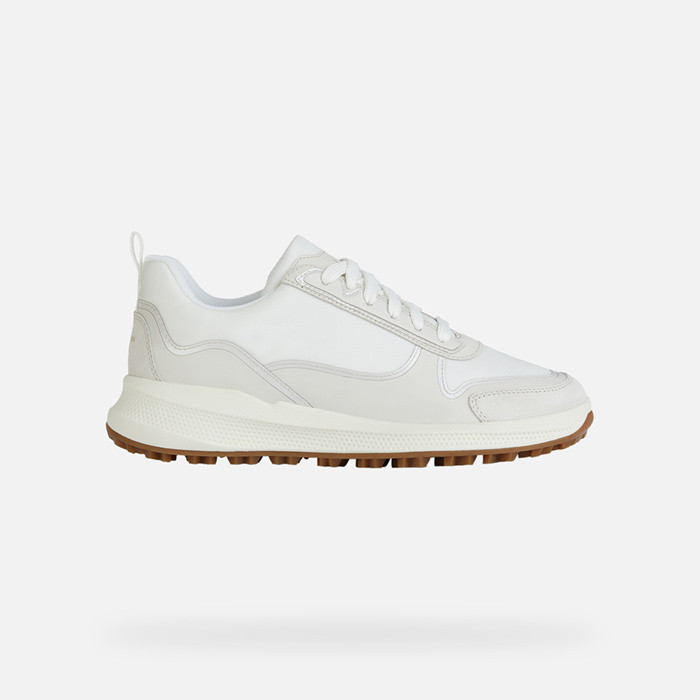Low top sneakers PG1X WOMAN White/Off White | GEOX