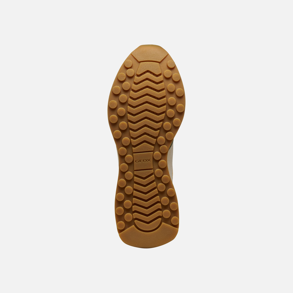 Low top sneakers AMABEL WOMAN Light taupe/Papyrus - image number 6 | GEOX