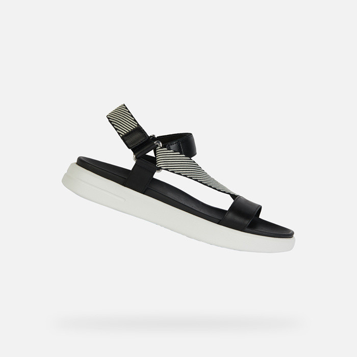 Flat sandals XAND 2S WOMAN Black/Off White | GEOX