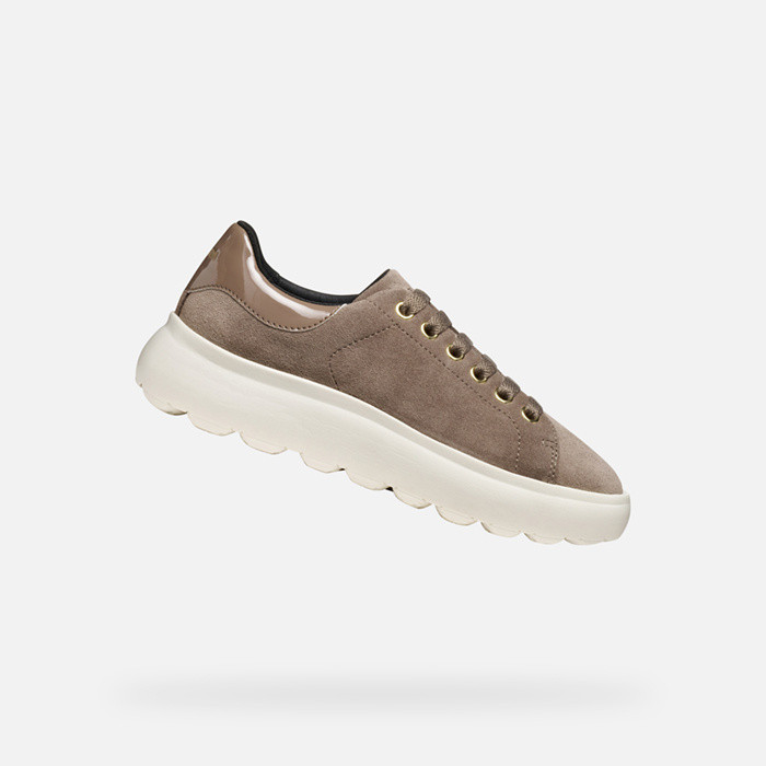 Niedrige sneakers SPHERICA EC4.1 DAME Taube | GEOX