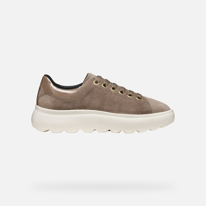 Low top sneakers SPHERICA EC4.1 WOMAN Taupe | GEOX
