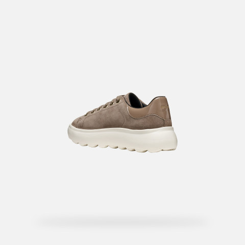 Low top sneakers SPHERICA EC4.1 WOMAN Taupe - image number 3 | GEOX