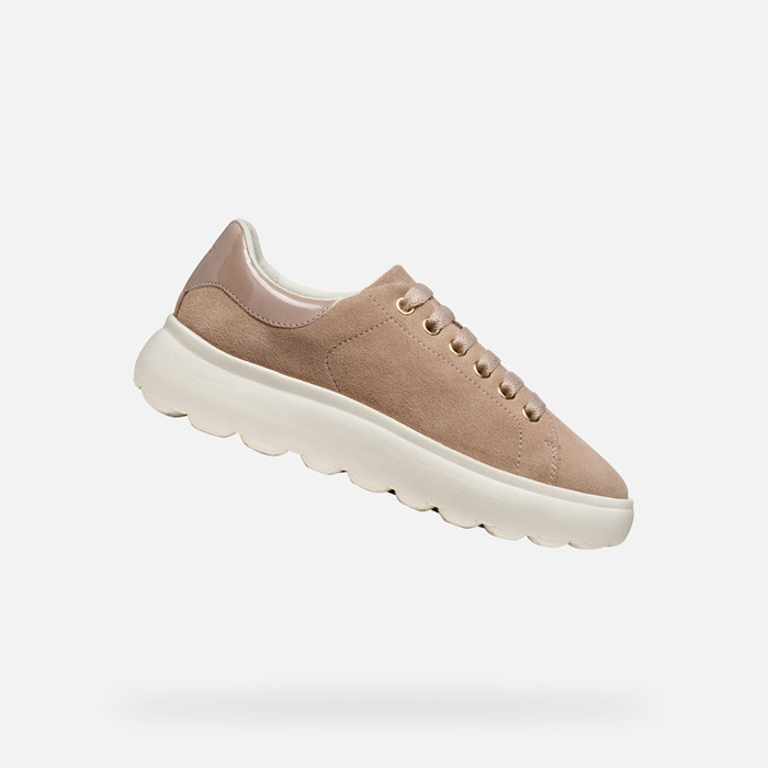 Low top sneakers SPHERICA EC4.1 WOMAN Antique Rose/Taupe | GEOX