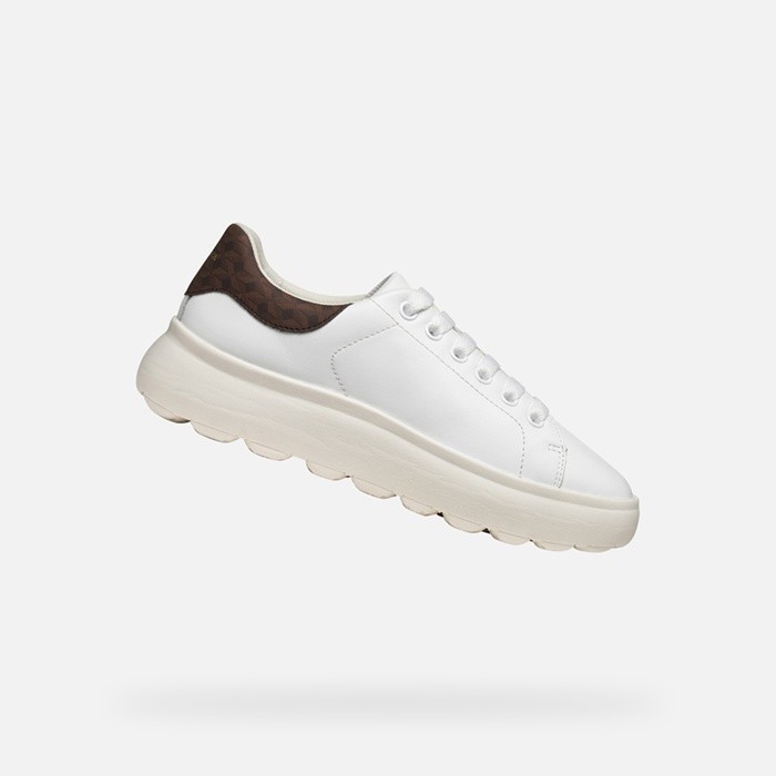 Lightweight cushioned shoes SPHERICA EC4.1 WOMAN White/Brown | GEOX