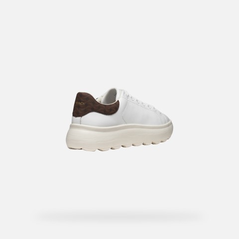 Lightweight cushioned shoes SPHERICA EC4.1 WOMAN White/Brown - image number 4 | GEOX