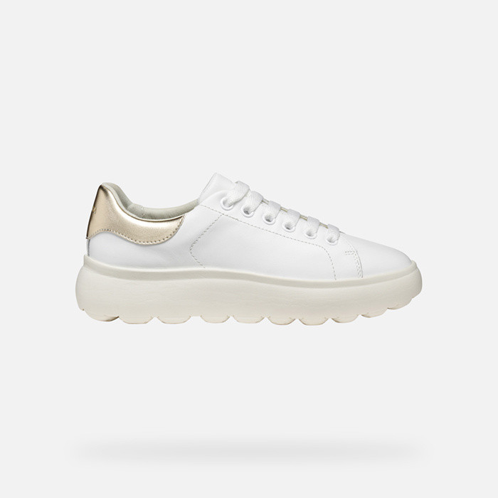 Low top sneakers SPHERICA EC4.1 WOMAN White/Light Gold | GEOX