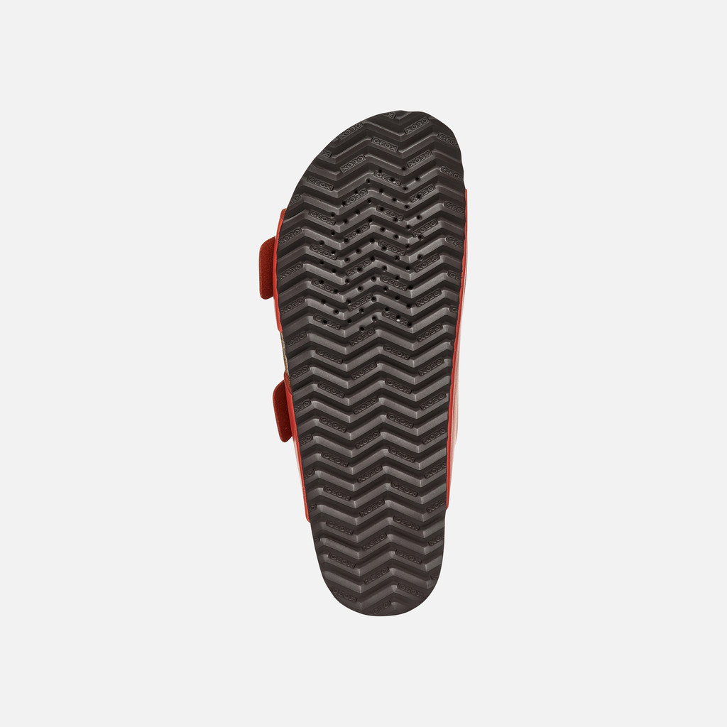 Slides shoes BRIONIA R WOMAN Coral - image number 6 | GEOX