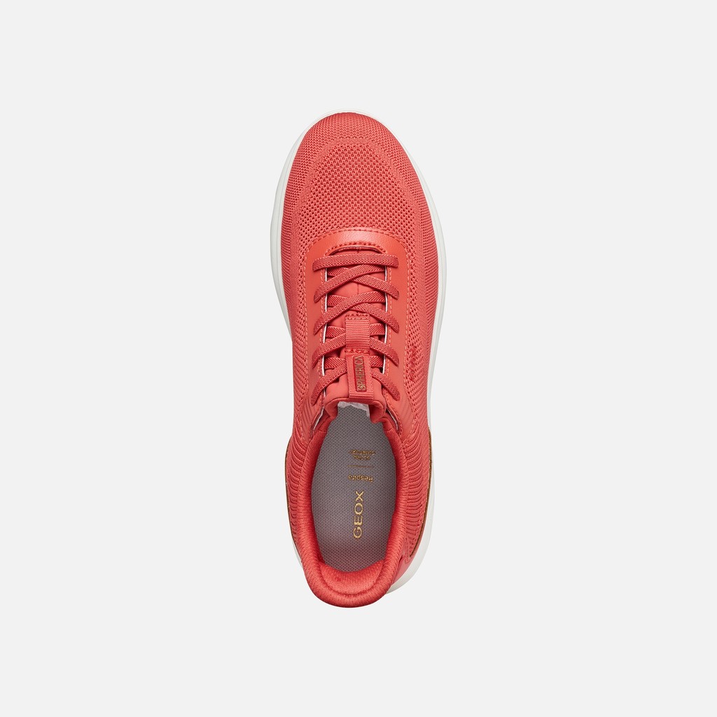 Slip in sneakers SPHERICA PLUS WOMAN Coral - image number 5 | GEOX
