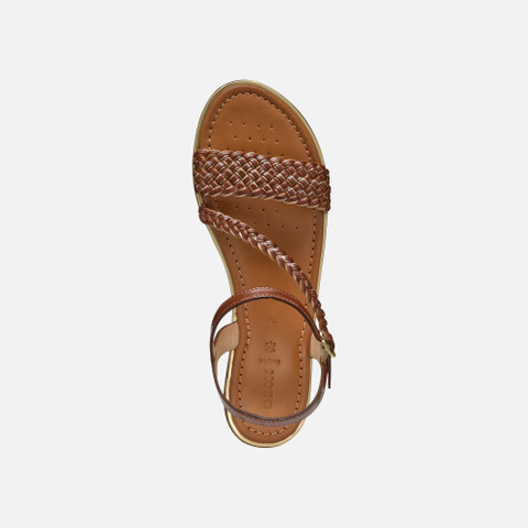 Flat sandals SOZY PLUS WOMAN Camel/Light gold - image number 5 | GEOX