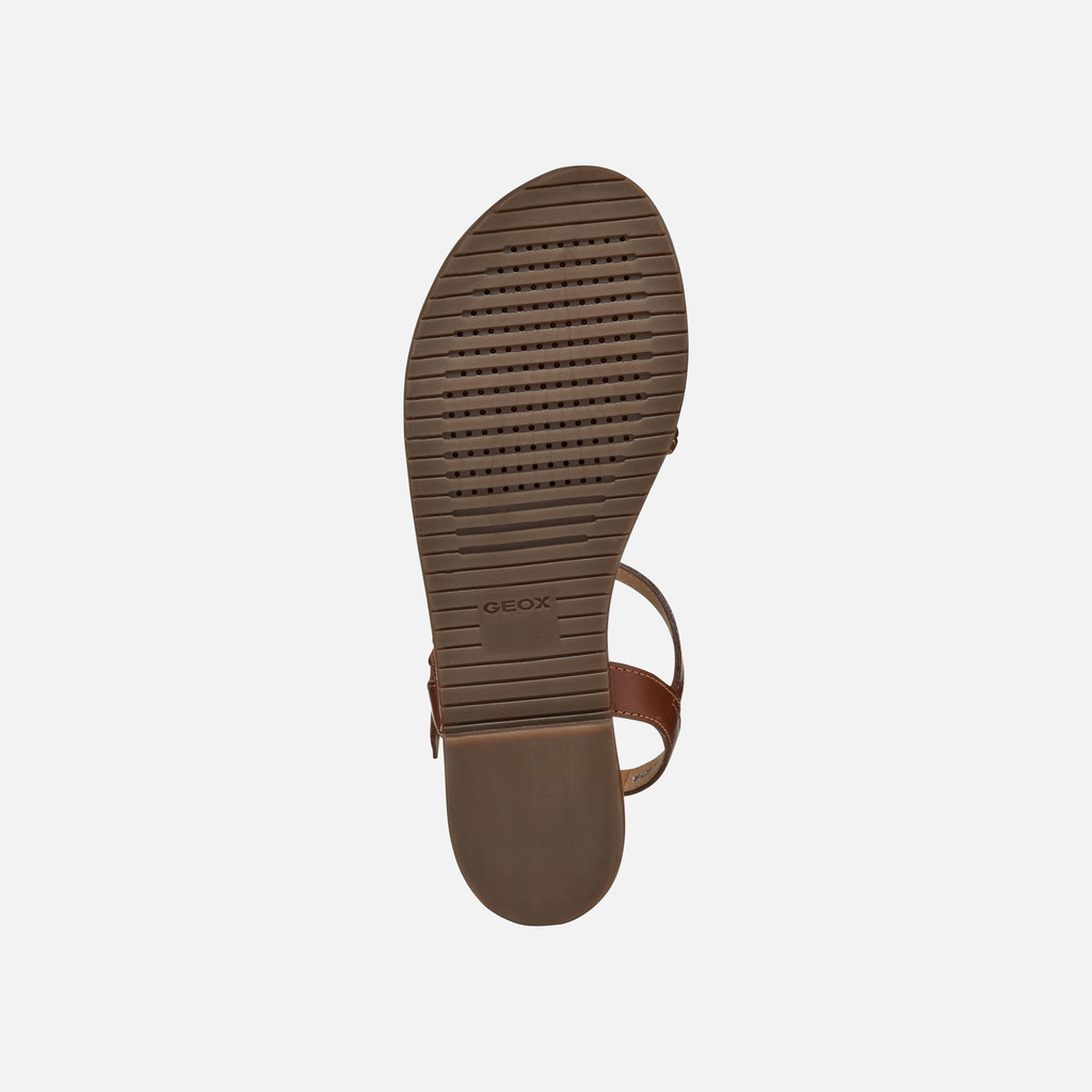 Flat sandals SOZY PLUS WOMAN Camel/Light gold - image number 6 | GEOX