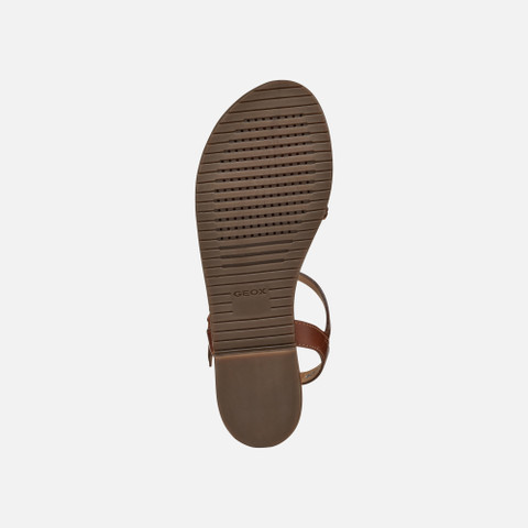 Flat sandals SOZY PLUS WOMAN Camel/Light gold - image number 6 | GEOX