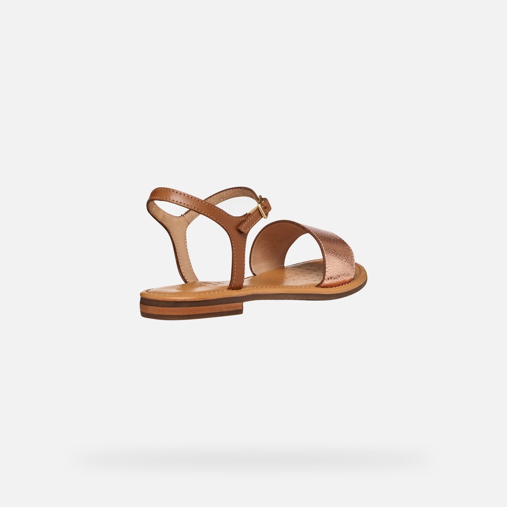 Flat sandals SOZY S WOMAN Rose Gold/Camel - image number 7 | GEOX