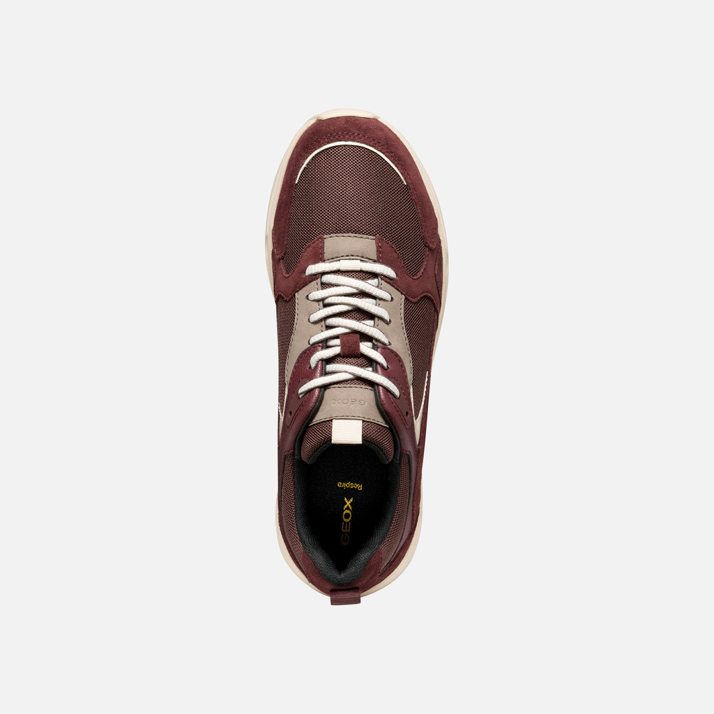 Low top sneakers ZARVIA WOMAN Wine - image number 6 | GEOX