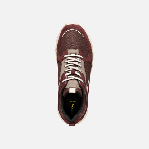 Low top sneakers ZARVIA WOMAN Wine - image number 6 | GEOX