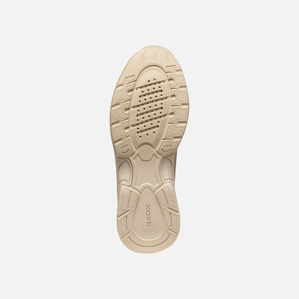 Low top sneakers ZARVIA WOMAN Powder - image number 6 | GEOX