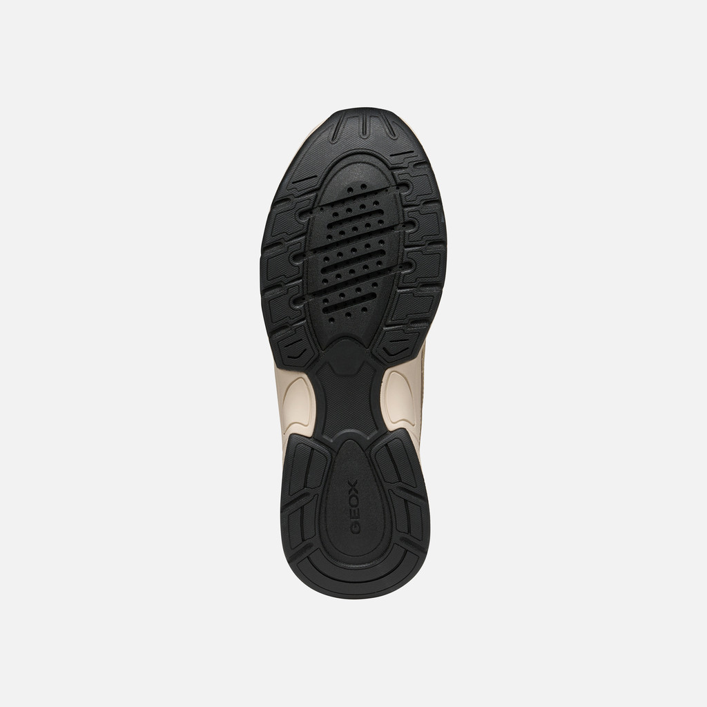 Low top sneakers ZARVIA WOMAN Papyrus/Light gold - image number 6 | GEOX