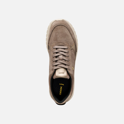 Low top sneakers SUKIE 2.0 WOMAN Taupe/Sand - image number 5 | GEOX