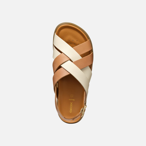 Flat sandals ADELASH WOMAN Camel/Papyrus - image number 5 | GEOX