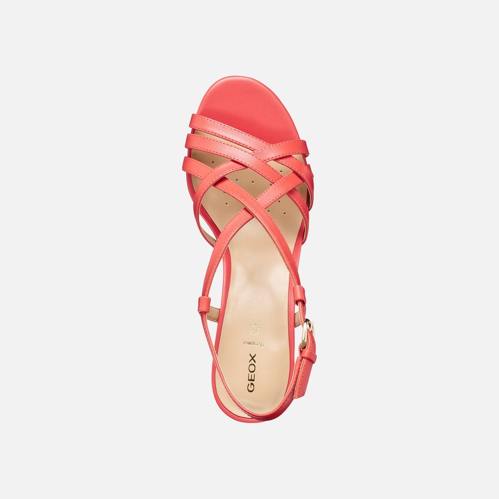 Medium-heeled sandals VIRNILISA 65 S WOMAN Coral - image number 5 | GEOX