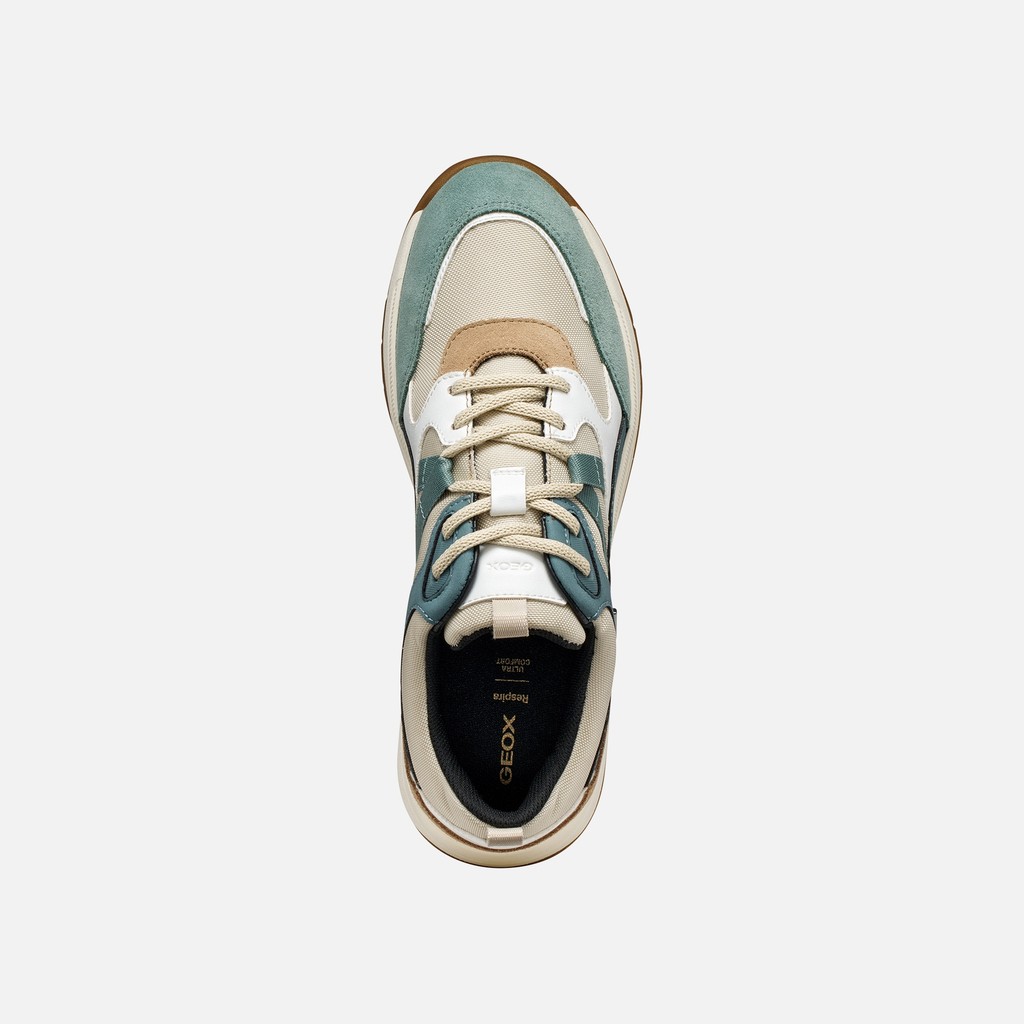Wasserfeste Sneakers BERINIKE ABX DAME Hellbeige/Helles Avioblau - image number 6 | GEOX