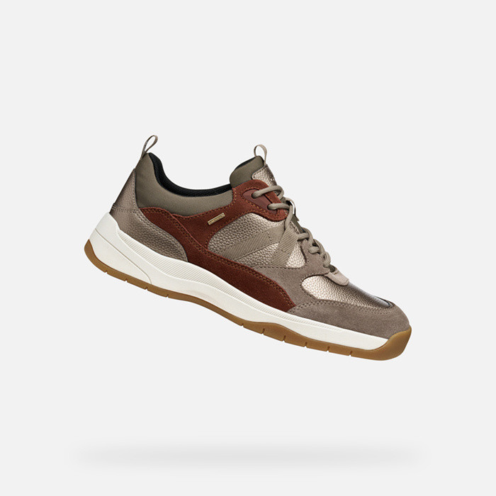 Waterproof trainers BERINIKE ABX WOMAN Taupe | GEOX
