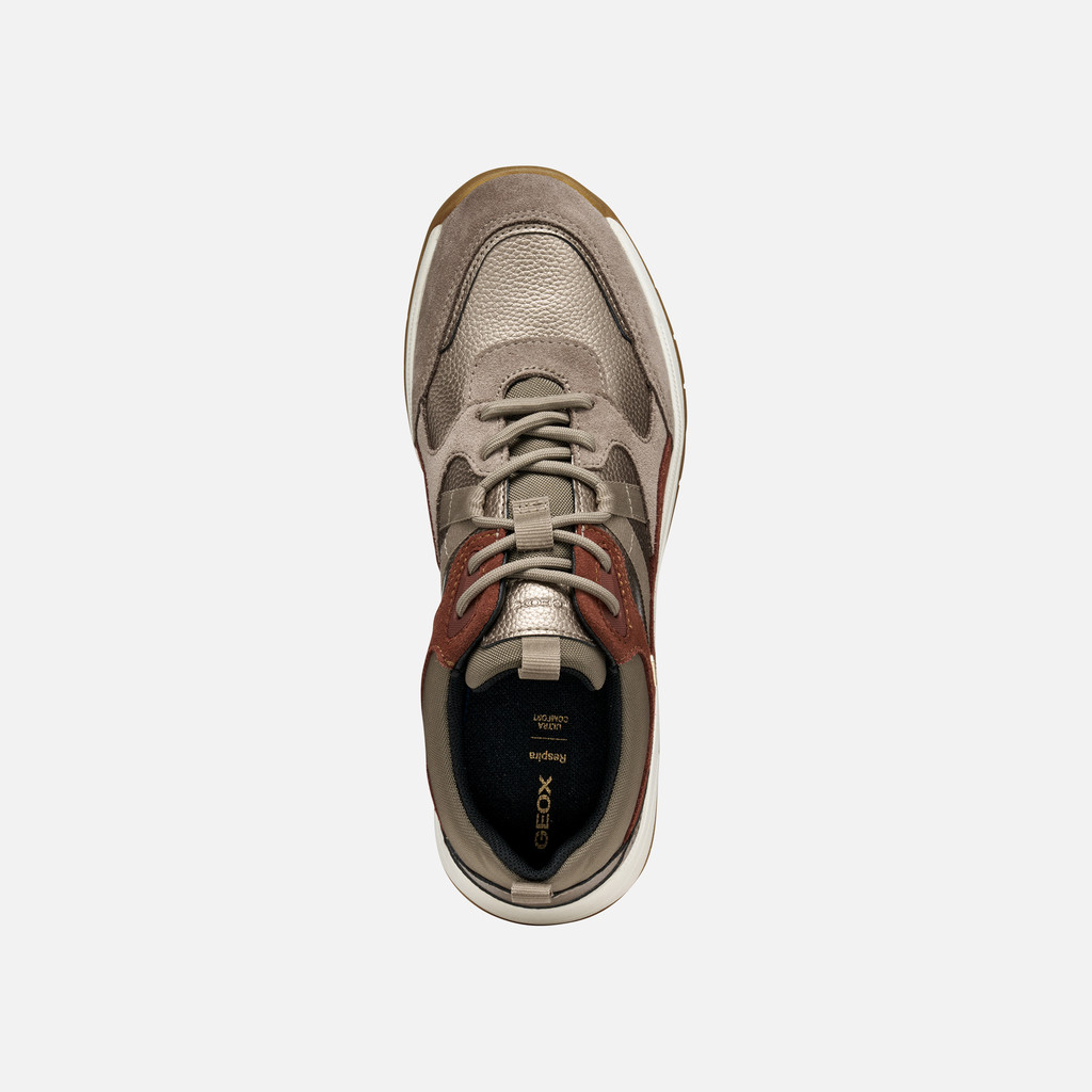 Waterproof trainers BERINIKE ABX WOMAN Taupe - image number 5 | GEOX