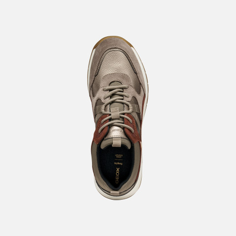 Waterproof trainers BERINIKE ABX WOMAN Taupe - image number 5 | GEOX
