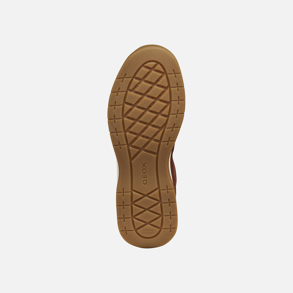 Waterproof trainers BERINIKE ABX WOMAN Taupe - image number 6 | GEOX