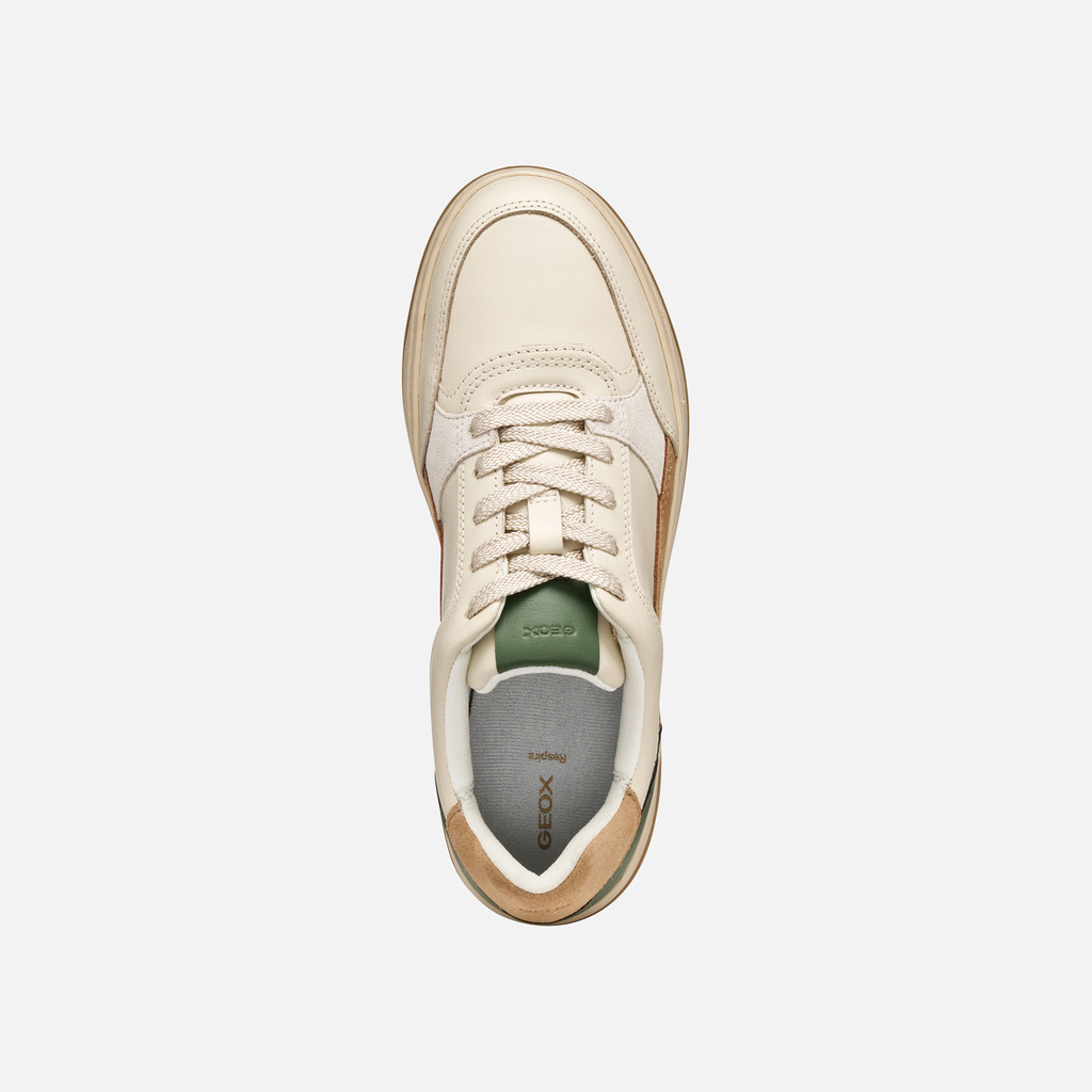 Low top sneakers SEDRAL COURT WOMAN Papyrus/Green - image number 5 | GEOX