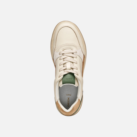 Low top sneakers SEDRAL COURT WOMAN Papyrus/Green - image number 5 | GEOX