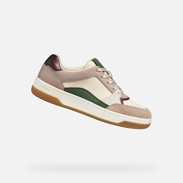 Low top sneakers SEDRAL COURT WOMAN Papyrus/Wine | GEOX