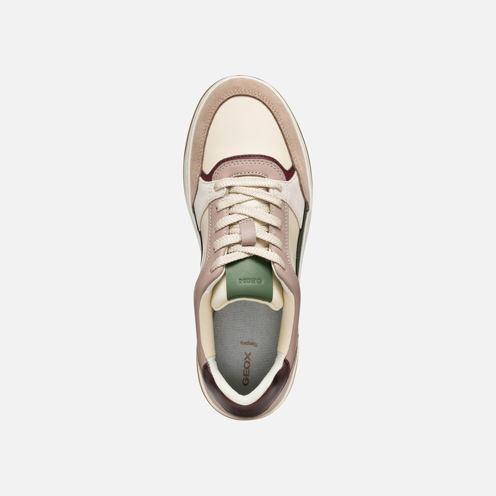 Low top sneakers SEDRAL COURT WOMAN Papyrus/Wine - image number 5 | GEOX