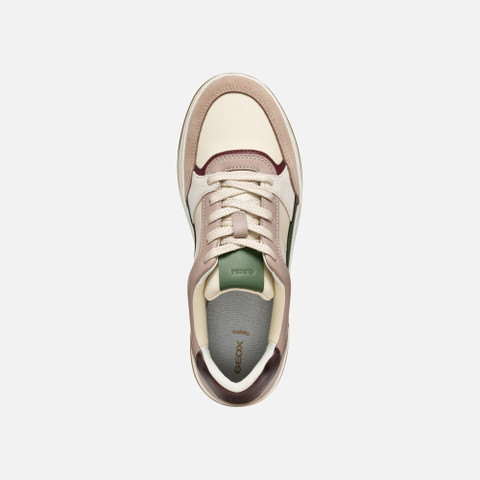 Low top sneakers SEDRAL COURT WOMAN Papyrus/Wine - image number 5 | GEOX