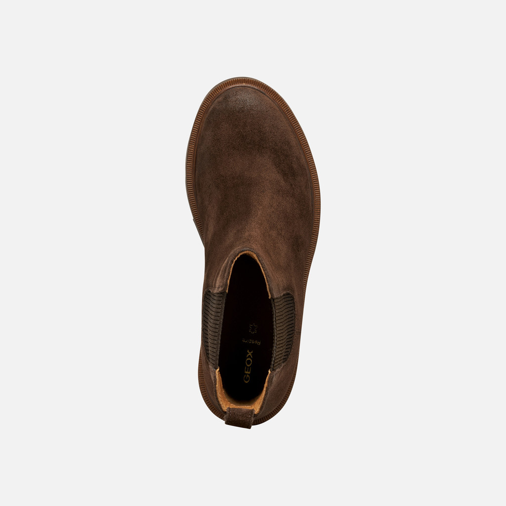 Chelsea boots NORIZE WOMAN Dark Brown - image number 5 | GEOX