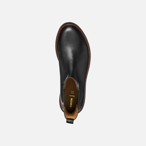 Chelsea boots NORIZE WOMAN Black - image number 5 | GEOX