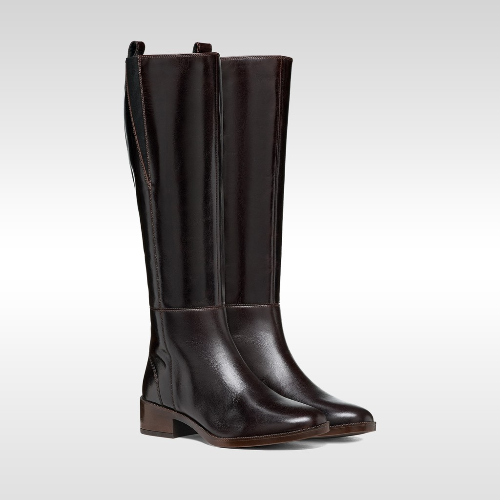 Flat boots CAMEXIA WOMAN Dark Brown - image number 1 | GEOX