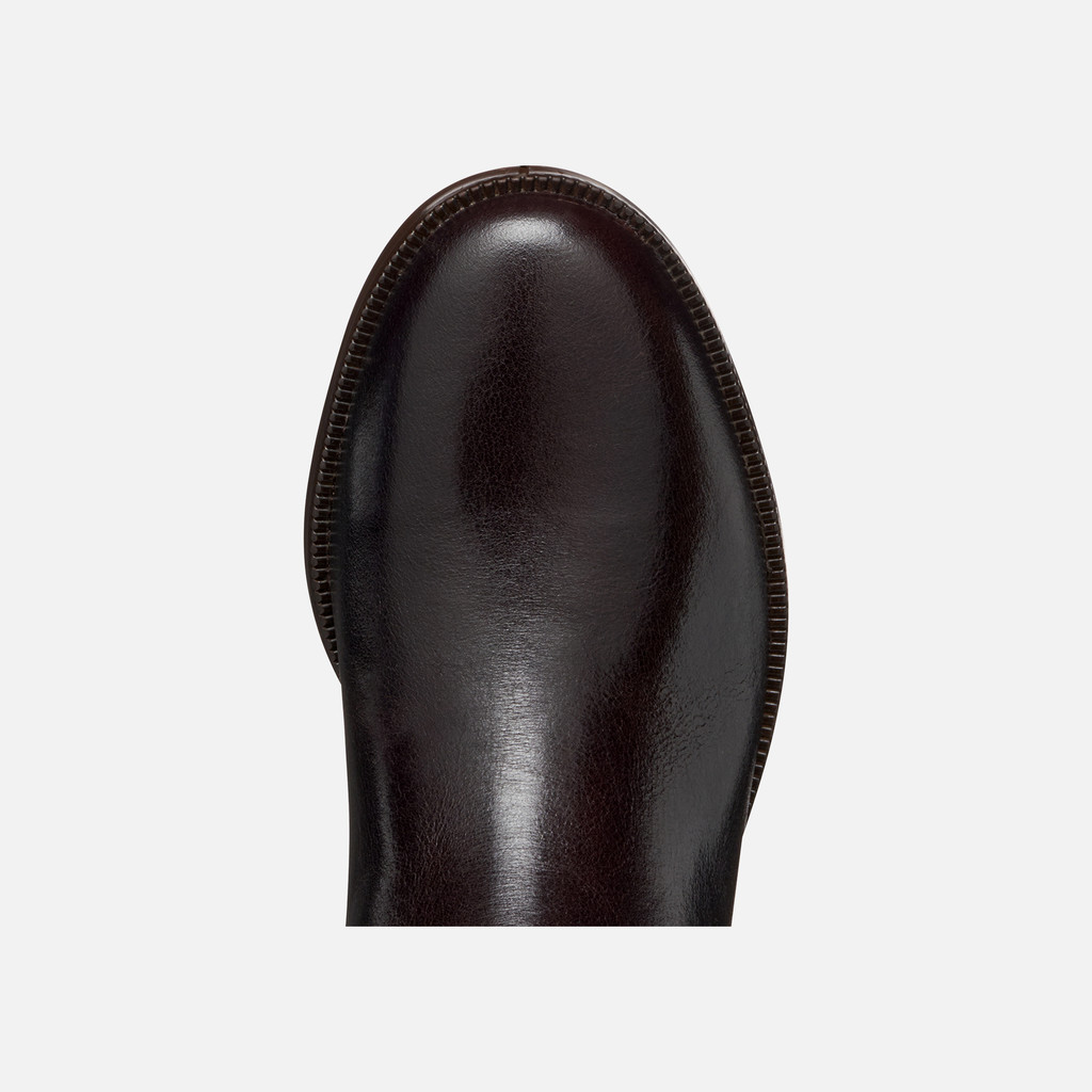 Flat boots CAMEXIA WOMAN Dark Brown - image number 6 | GEOX
