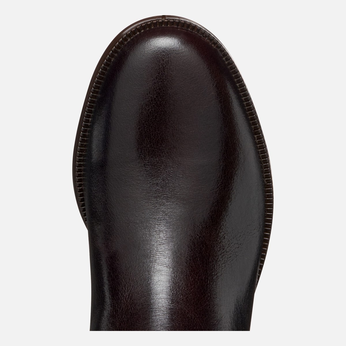 camexia woman — dark_brown