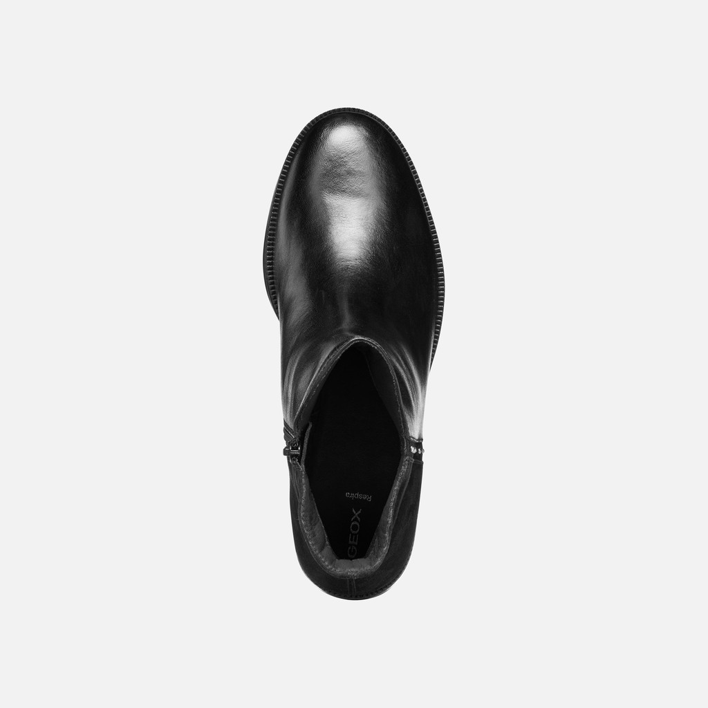 Low heel ankle boots CAMEXIA WOMAN Black - image number 5 | GEOX
