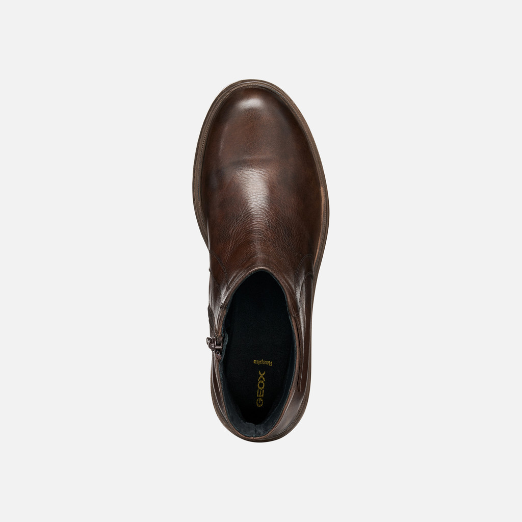 Biker ankle boots SWELEN WOMAN Dark Brown - image number 5 | GEOX
